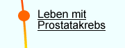 Erster Rat